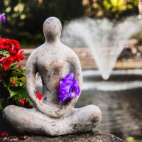 lotushouding bij vijver